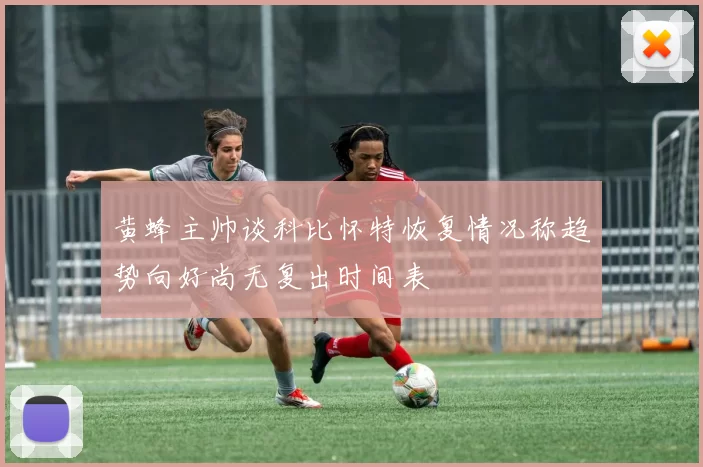黄蜂主帅谈科比怀特恢复情况称趋势向好尚无复出时间表