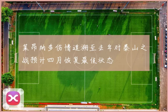 莱昂纳多伤情追溯至去年对泰山之战预计四月恢复最佳状态