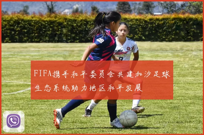 FIFA携手和平委员会共建加沙足球生态系统助力地区和平发展